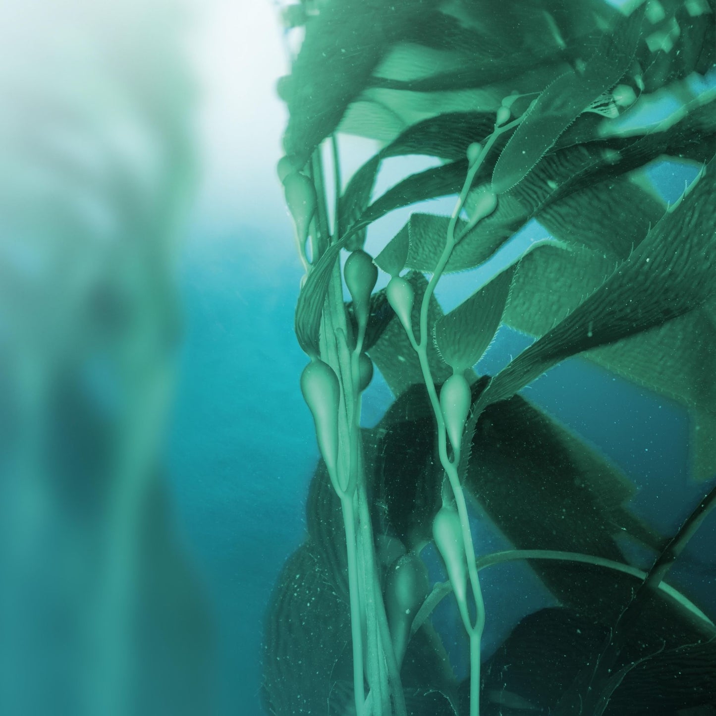Image of Lavera hydro refresh micellar water green algae