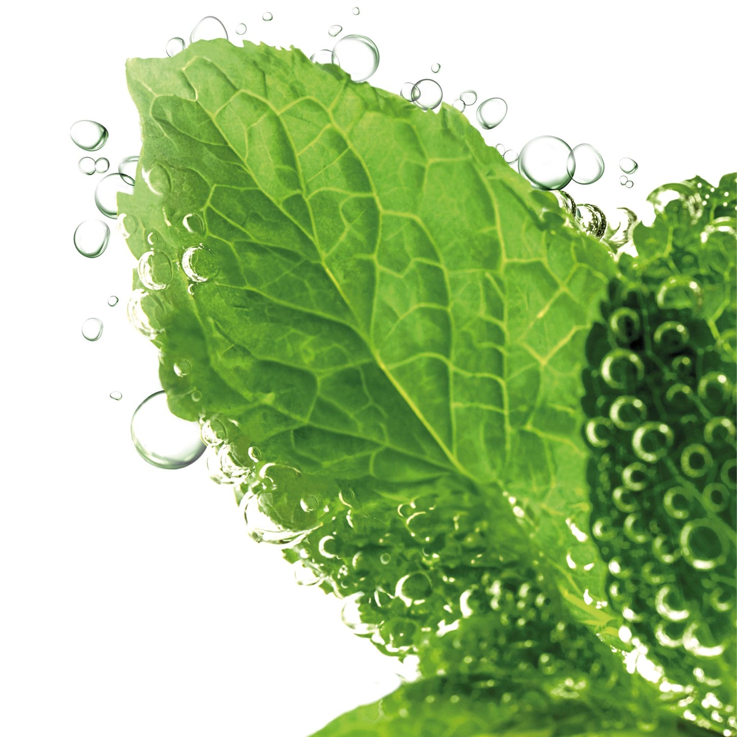 Image of Lavera pure beauty 3 in 1 wash, scrub & mask tube mint on a clean white background