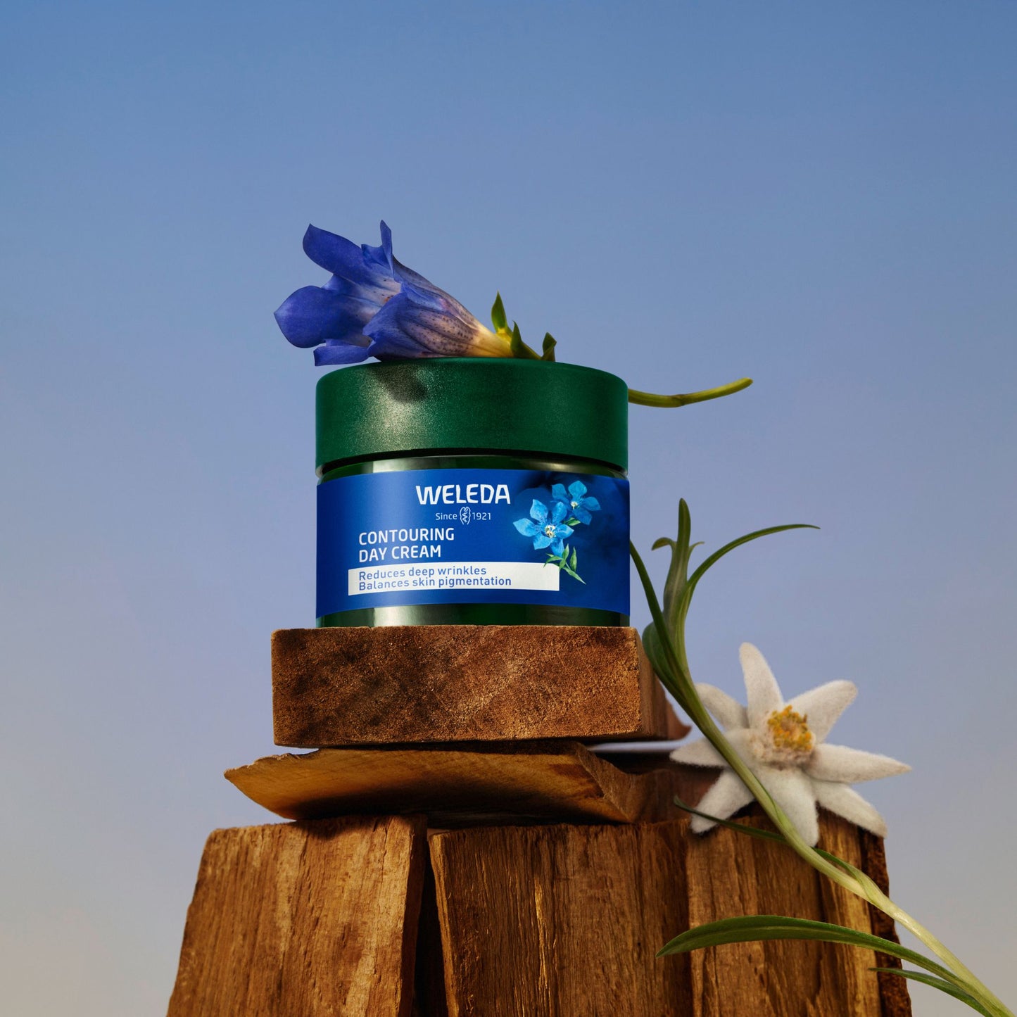 A jar of Weleda Contouring Day Cream sits on stacked wooden blocks against a clear blue sky, styled with blue and white wildflowers.