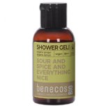 benecos bio shower gel ginger and lemon organic shower gel