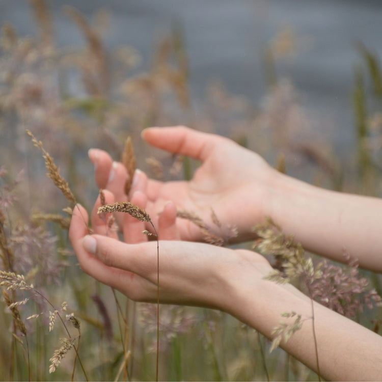 All natural me special offers limited time deals