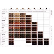 Ayuna Organic Hair Dye Chart for Plant based hair dyes on a white background
