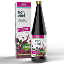 GSE Organic Supplement Iron Vital is in a brown glass bottle with a screw top lid in a cardboard box. 