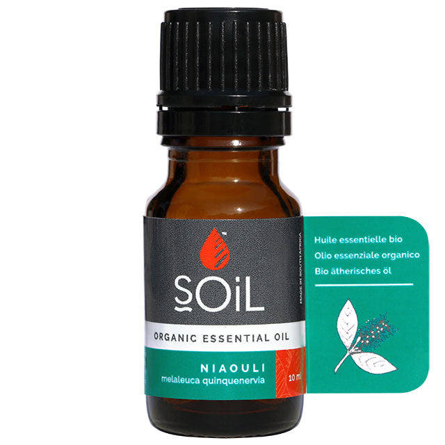 Soil Organic Essential Oil Niaouli in a brown glass bottle with a screw top lid