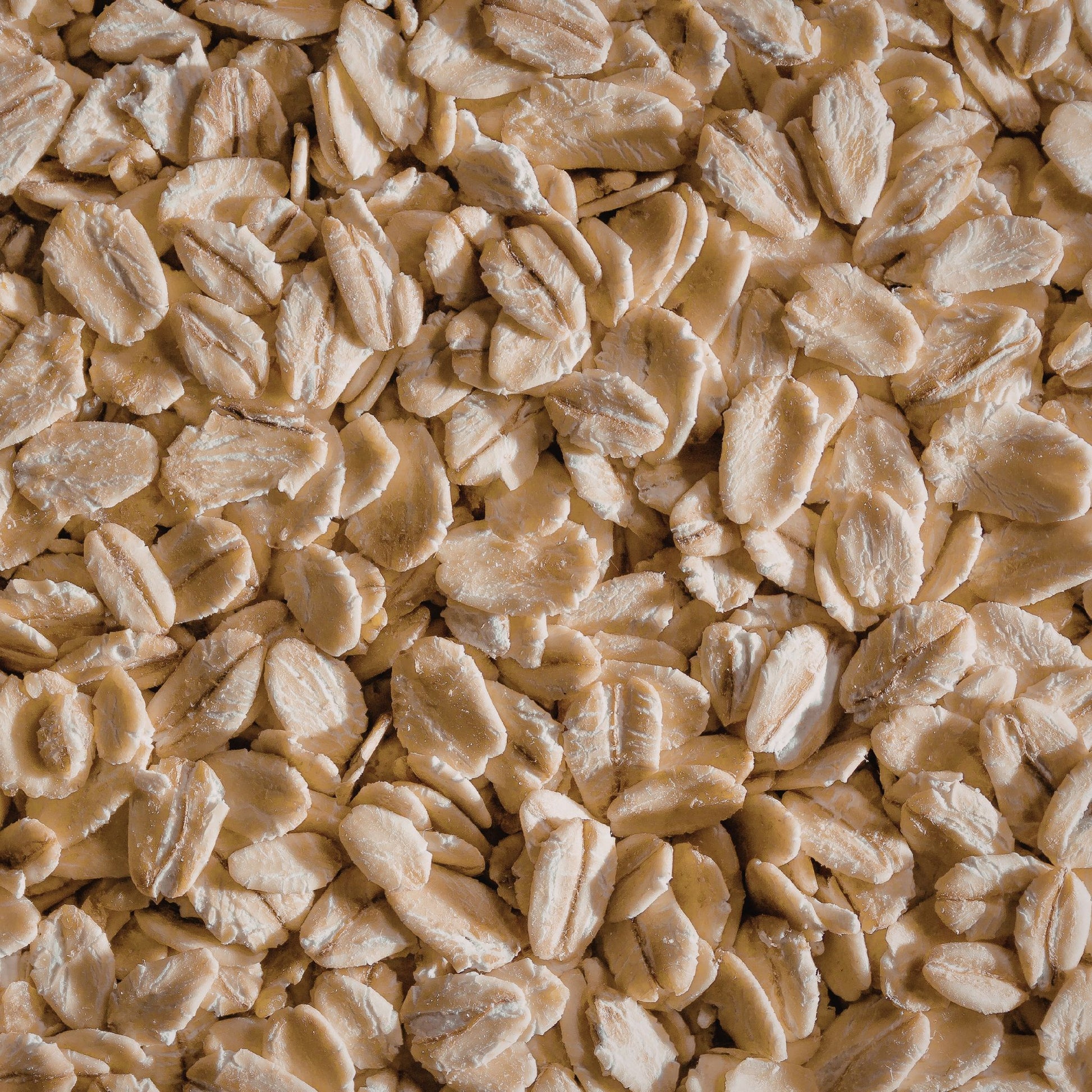 benecos bio oat repair conditioner, organic oats