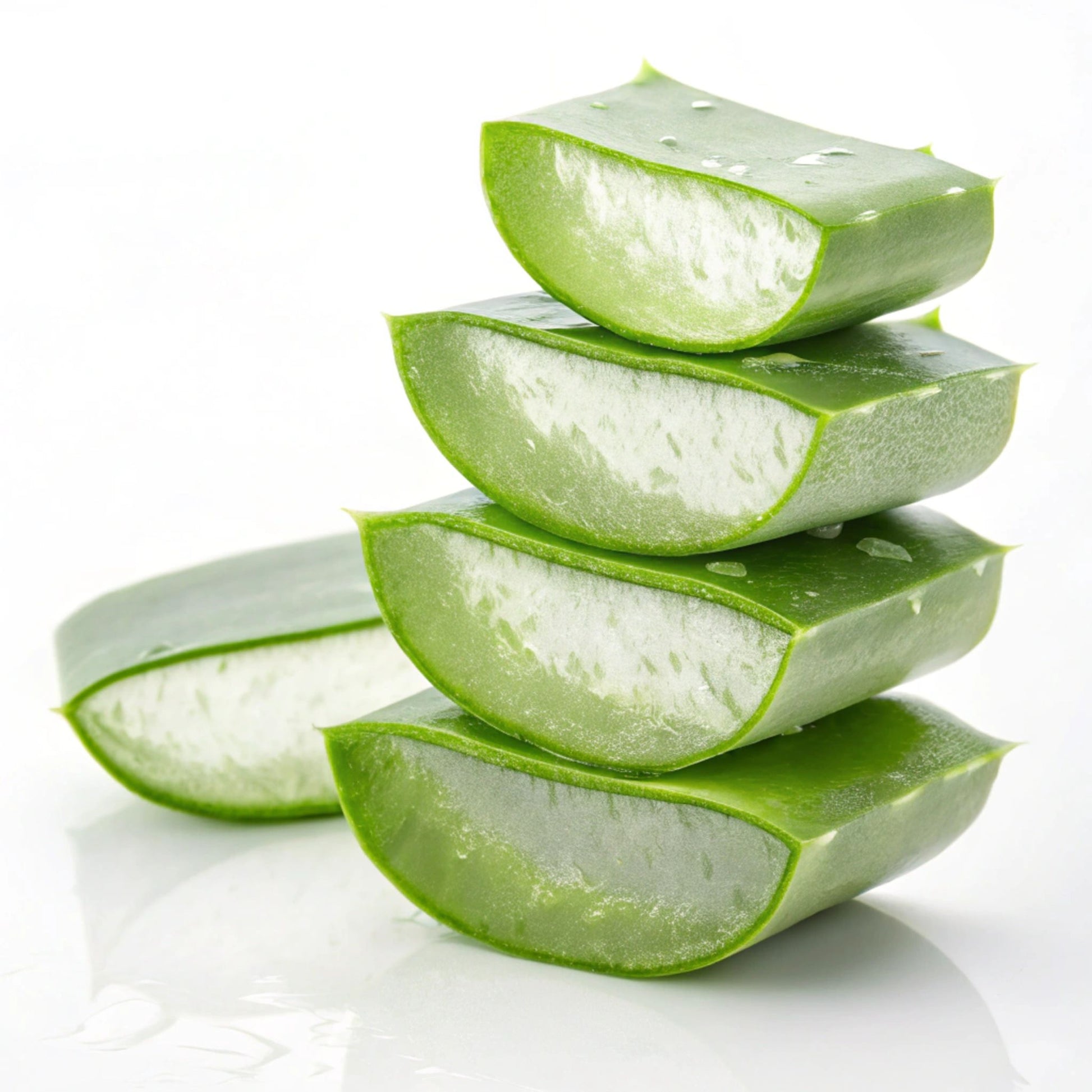 Aaloe vera on a white background