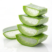 Aaloe vera on a white background