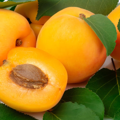 Fresh apricots with one halved fruit showing the pit, surrounded by green leaves on a light background.