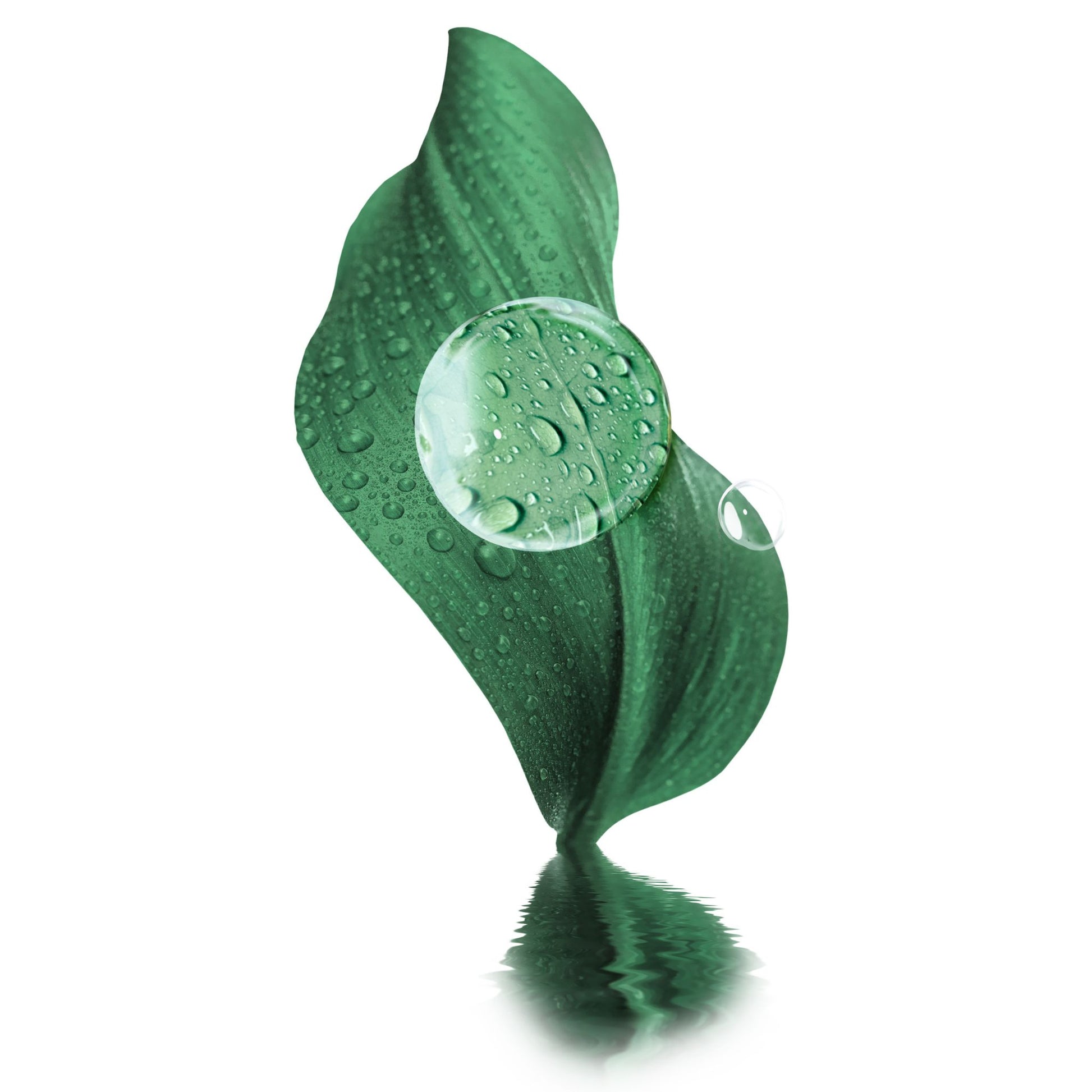A glossy green leaf-shaped object with water droplets and a large clear water droplet in the center, shown on a white background with a soft reflection below.