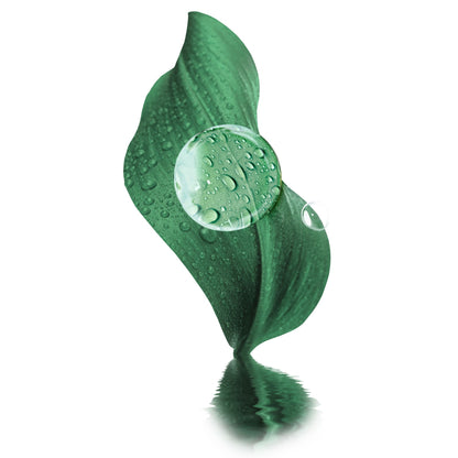 A glossy green leaf-shaped object with water droplets and a large clear water droplet in the center, shown on a white background with a soft reflection below.