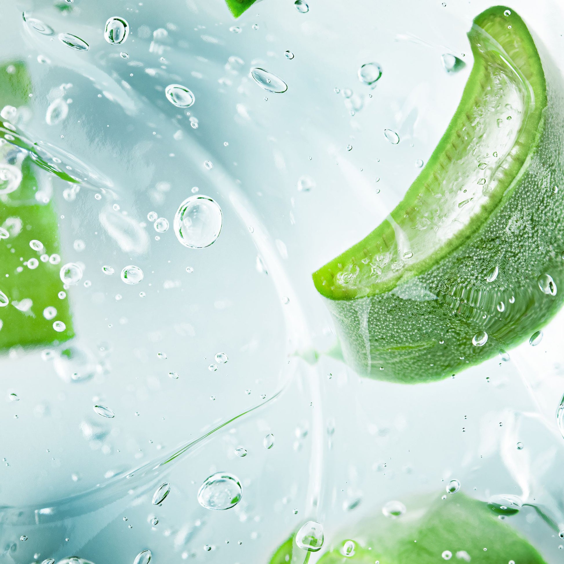 Close-up of green aloe vera slices with water droplets on a light blue background