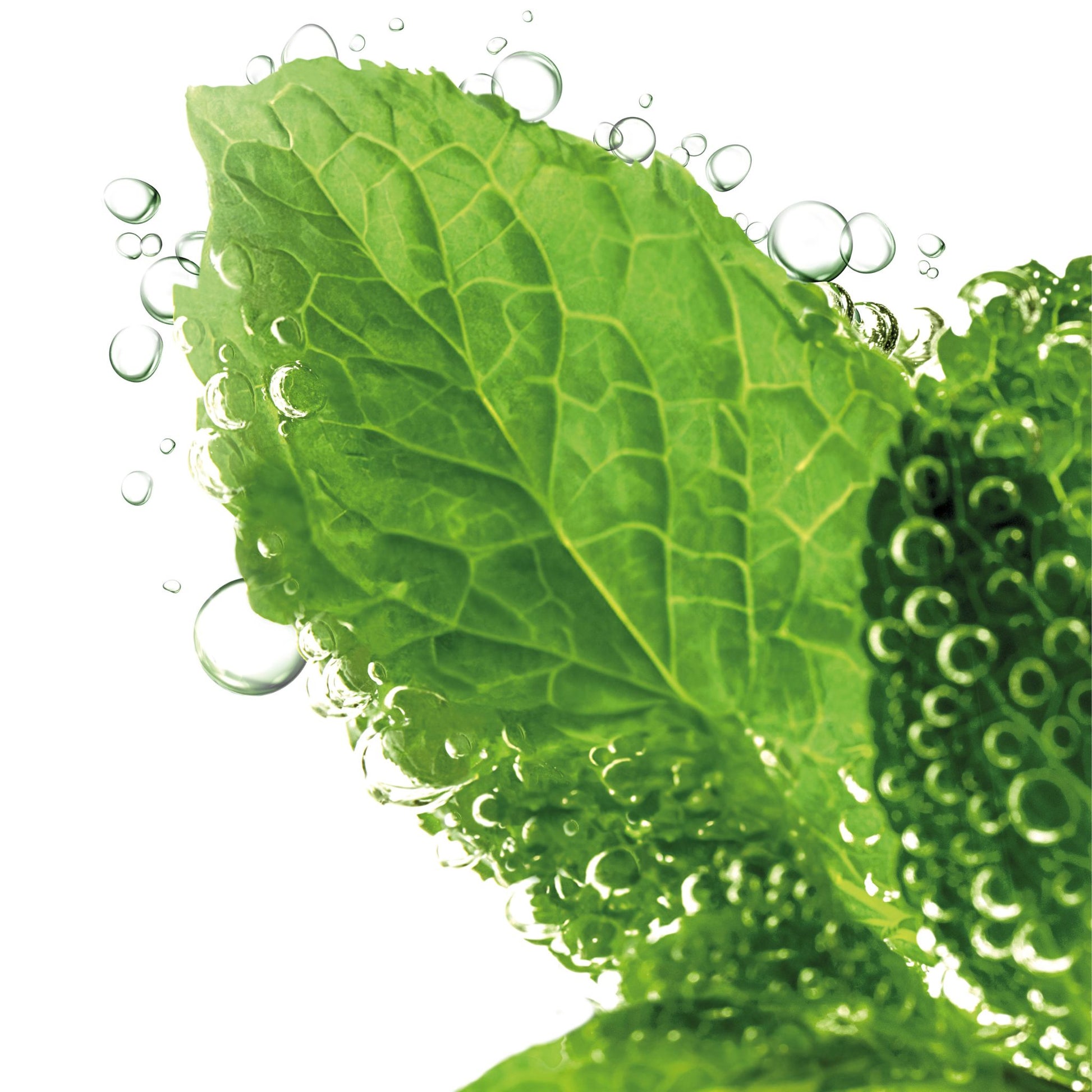 Image of Lavera pure beauty 3 in 1 wash, scrub & mask tube mint on a clean white background