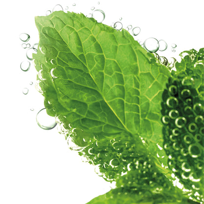 Image of Lavera pure beauty 3 in 1 wash, scrub & mask tube mint on a clean white background