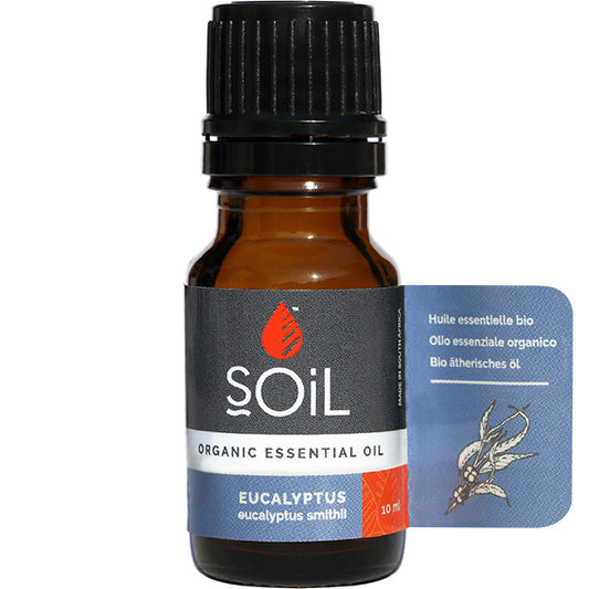 Soil Organic Essential Oil Eucalyptus in a brown glass bottle with a screw top lid 