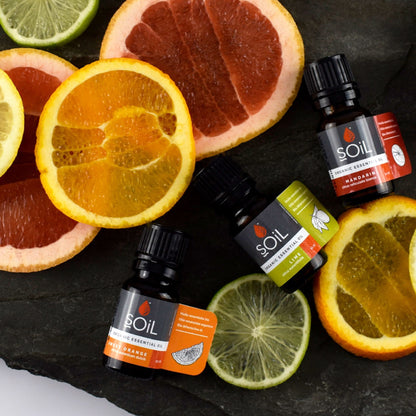Bottles of Soil skincare products surrounded by sliced citrus fruits on a dark surface