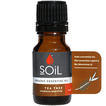 Soil Organic Essential Oil Tea Tree in a glass brownb bottle with a screw top lid