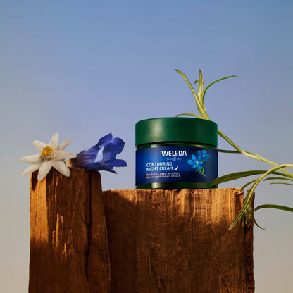 A jar of Weleda Contouring Night Cream on a wood against a blue gradient background, with botanical elements including blue bellflowers, green leaves, and a white flower. The product is a dark green jar with a blue label featuring white text and a small blue flower graphic.