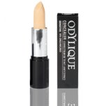 odylique natural concealer fair organic concealer