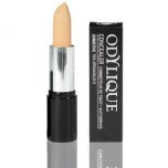 odylique natural concealer medium organic make up