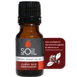 soil organic essential oils clove bud toothache digestion