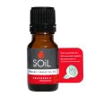 soil grapefruit essential oil natural essential oils aromatherapy