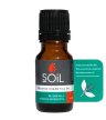 soil organic essential oil niaouli vegan first aid aromatherapy