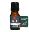 soil organic essential oil rosemary cellulite remedy vegan