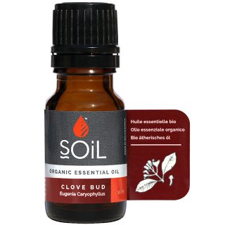 soil organic essential oils clove bud toothache digestion