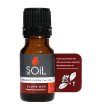 soil organic essential oils clove bud toothache digestion