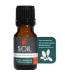 soil organic essential oils wintergreen organic natural