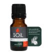 soil organic essential oils pine natural essential oils massage