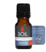soil organic esential oils eucalyptus aromatherapy oils