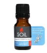 soil organic essential oil sweet marjoram aromatherapy