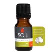 soil organic essential oils lime citrus oil aromatherapy