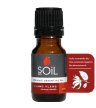 soil ylang ylang essential oil organic pure essential oil