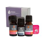 soil organic essential oil exhale gift set organic vegan