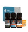 soil organic essential oil inhale gift set