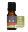 soil organic essential oil blends immunity organic essential oils