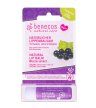 benecos natural lip balm cassis blackcurrant fruit lip balm organic